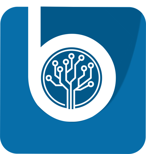 Bulkasoft